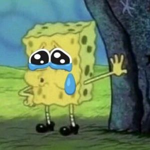 Meet your Posher, Rodrigo